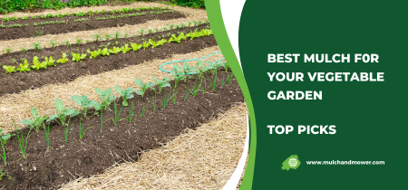 Healthy Growth Of Your Vegetables Garden – Best Mulch To Adopt