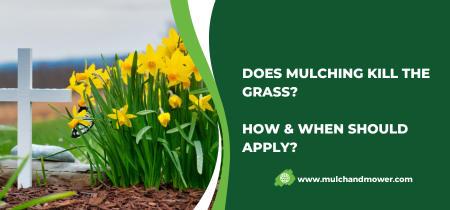 Does Mulching Kill The Grass? Helpful Guide For Gardeners