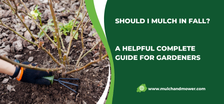 Can I Mulch In Fall? 5 Helpful Tips For Gardeners