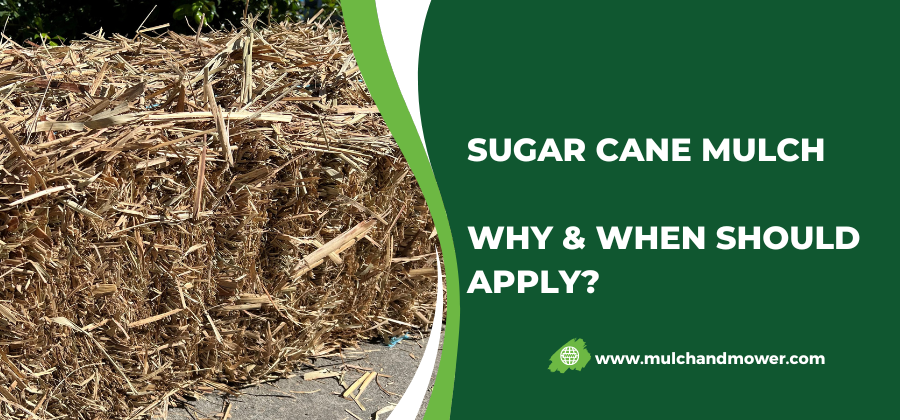 Sugar Cane Mulch Pros Cons – Every Gardener Must Know