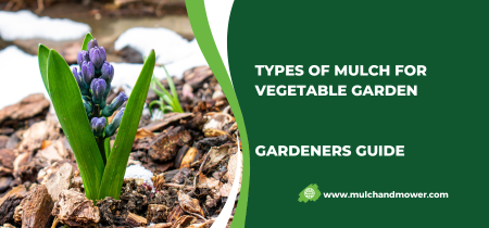 Types Of Mulch For Vegetable Gardening – Gardeners Guide