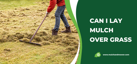 Can I Lay Mulch Over Grass – Very Useful Tips