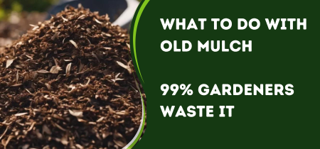 What To Do With Old Mulch ? 90% Will Waste!